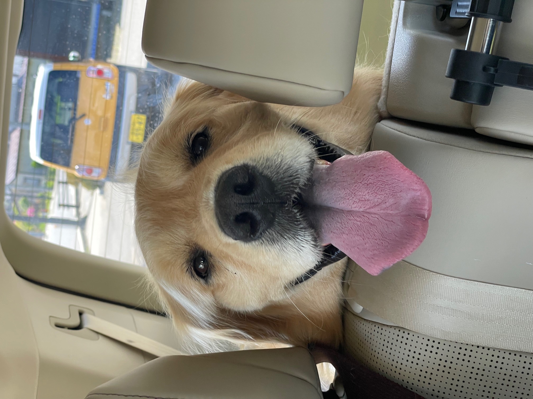 よい処 室内